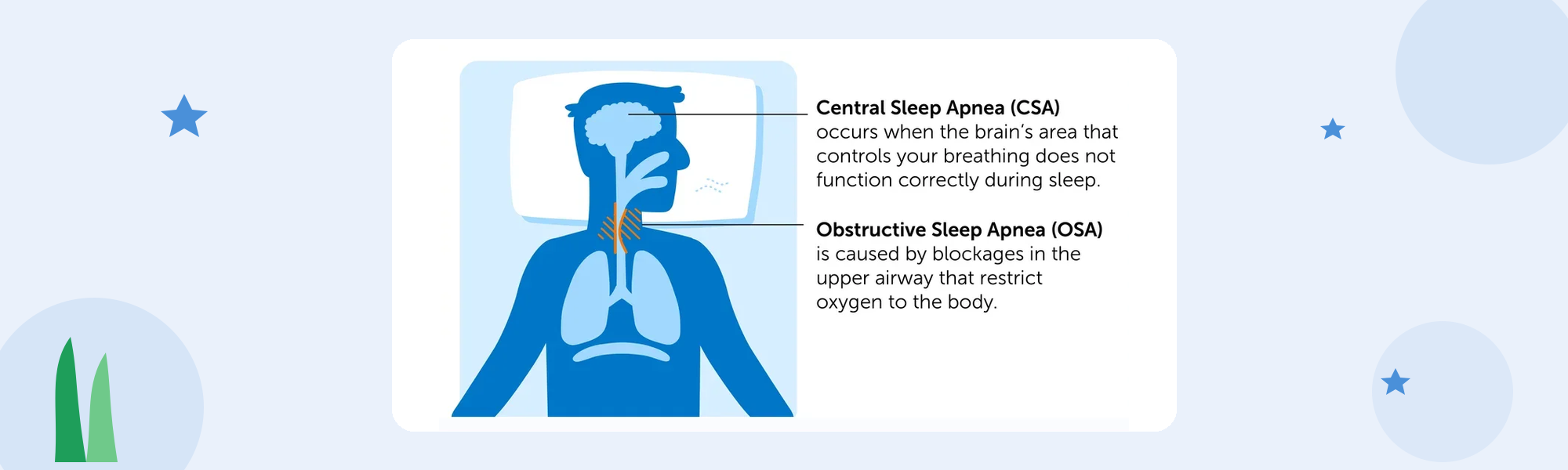 What Is Central Sleep Apnea? Causes, Symptoms & Treatment